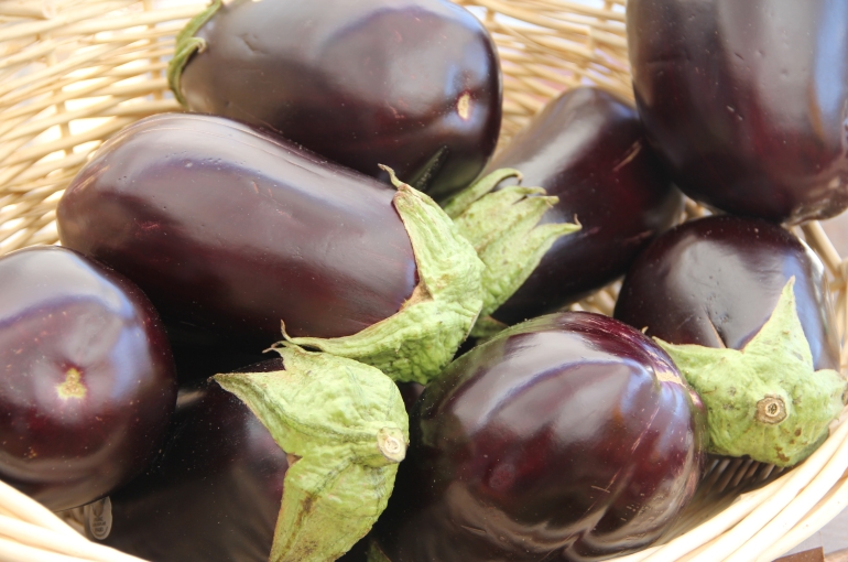 11 Amazing Health Benefits of Eating Eggplant - Wikifarmer