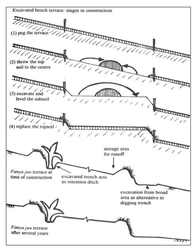 Contour trenching - Wikipedia