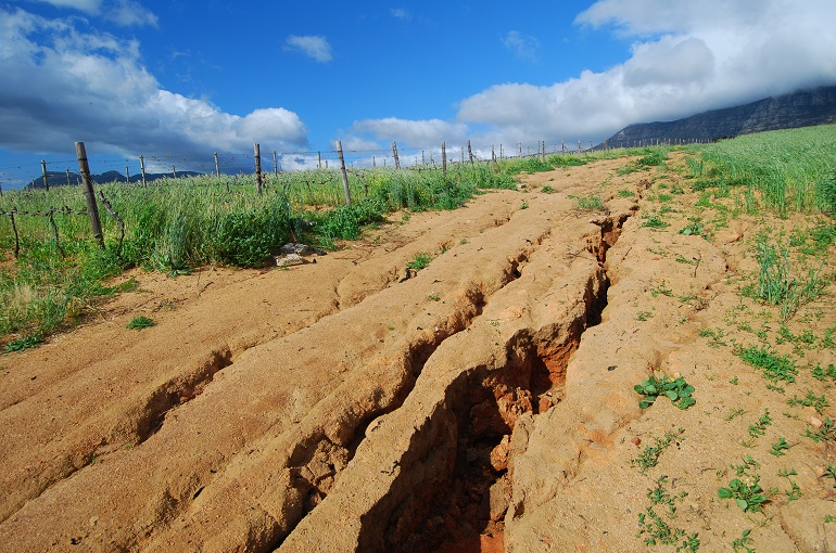 Wie Kann Bodenerosion Verhindert Werden? - Wikifarmer