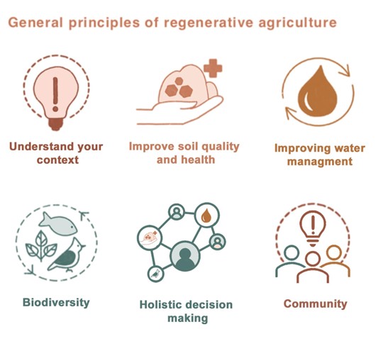 Regenerative Agriculture: What is it? Who is it for? Common practices, principles and resources