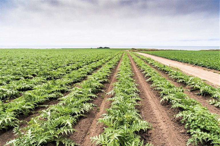 crop protection guide for greenhouse vegetables clipart