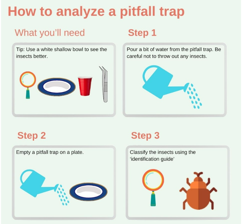 how to analyze a pitfall trap