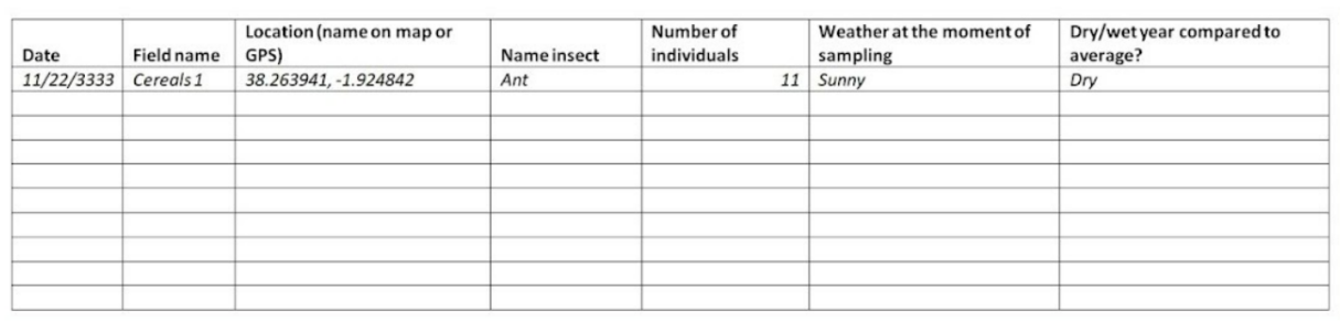 template datasheet